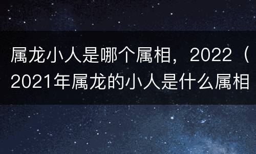 属龙小人是哪个属相，2022（2021年属龙的小人是什么属相）
