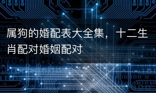 属狗的婚配表大全集，十二生肖配对婚姻配对