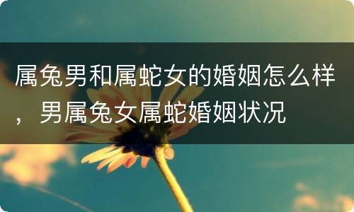 属兔男和属蛇女的婚姻怎么样，男属兔女属蛇婚姻状况