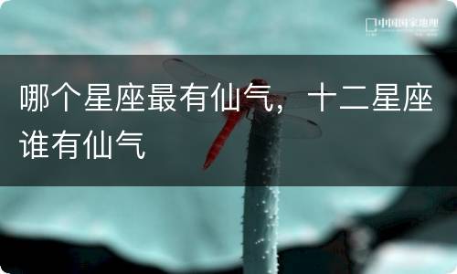 哪个星座最有仙气，十二星座谁有仙气