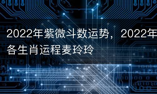 2022年紫微斗数运势，2022年各生肖运程麦玲玲