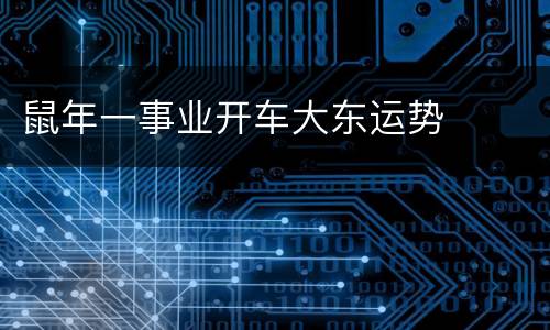 鼠年一事业开车大东运势