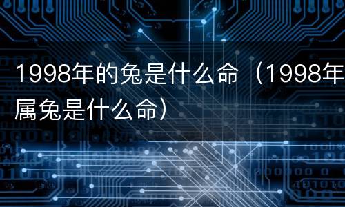 1998年的兔是什么命（1998年属兔是什么命）