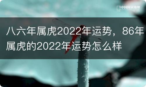 八六年属虎2022年运势，86年属虎的2022年运势怎么样