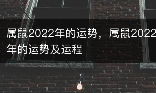 属鼠2022年的运势，属鼠2022年的运势及运程