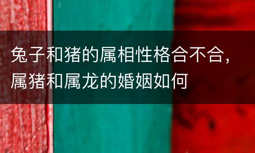 兔子和猪的属相性格合不合，属猪和属龙的婚姻如何