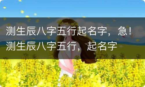 测生辰八字五行起名字，急！测生辰八字五行，起名字