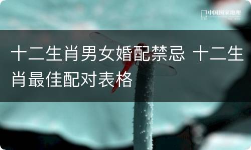 十二生肖男女婚配禁忌 十二生肖最佳配对表格