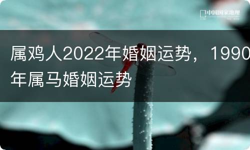 属鸡人2022年婚姻运势，1990年属马婚姻运势