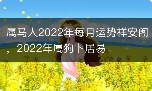 属马人2022年每月运势祥安阁，2022年属狗卜居易