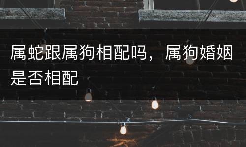 属蛇跟属狗相配吗，属狗婚姻是否相配