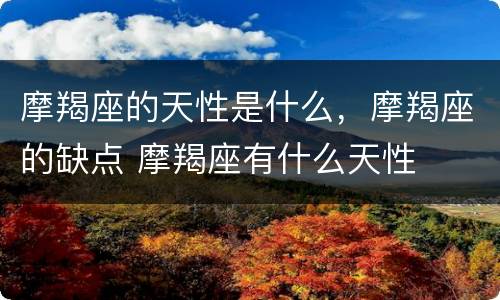 摩羯座的天性是什么，摩羯座的缺点 摩羯座有什么天性