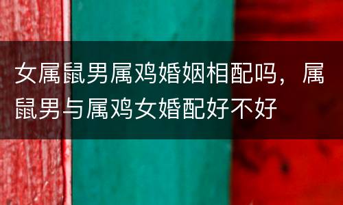 女属鼠男属鸡婚姻相配吗，属鼠男与属鸡女婚配好不好