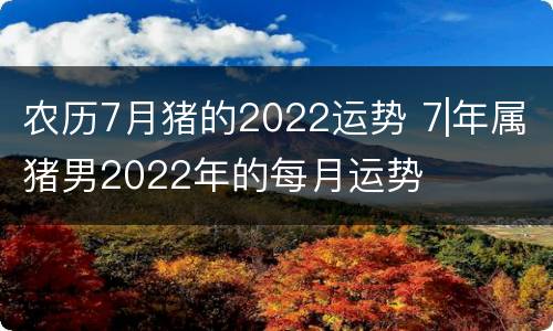 农历7月猪的2022运势 7|年属猪男2022年的每月运势