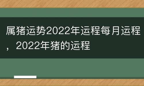 属猪运势2022年运程每月运程，2022年猪的运程