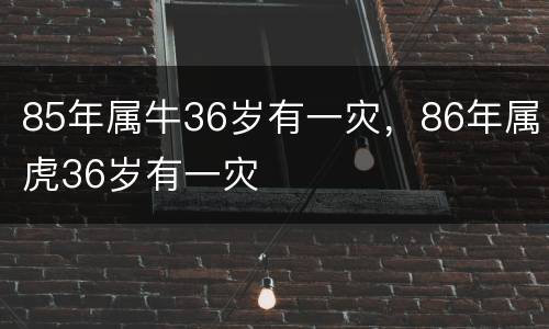 85年属牛36岁有一灾，86年属虎36岁有一灾