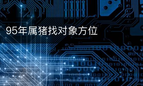 95年属猪找对象方位
