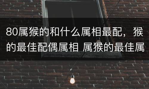 80属猴的和什么属相最配，猴的最佳配偶属相 属猴的最佳属相婚