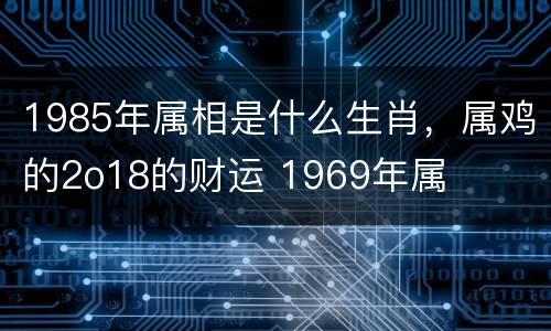 1985年属相是什么生肖，属鸡的2o18的财运 1969年属