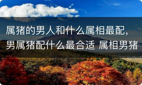 属猪的男人和什么属相最配，男属猪配什么最合适 属相男猪和什么