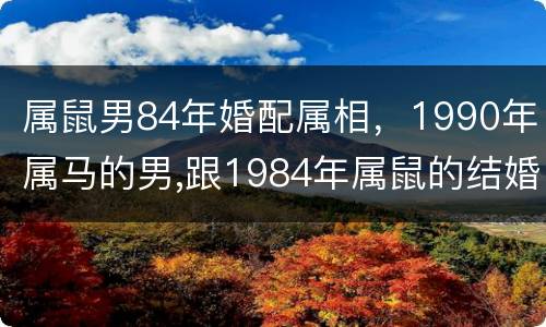 属鼠男84年婚配属相，1990年属马的男,跟1984年属鼠的结婚会怎么