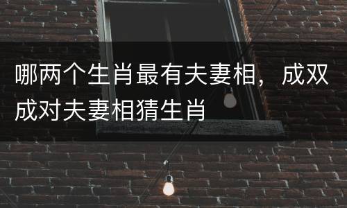 哪两个生肖最有夫妻相，成双成对夫妻相猜生肖