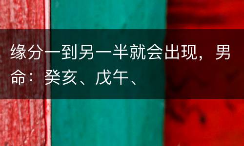 缘分一到另一半就会出现，男命：癸亥、戊午、