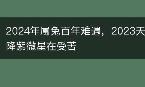 2024年属兔百年难遇，2023天降紫微星在受苦