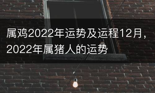 属鸡2022年运势及运程12月，2022年属猪人的运势