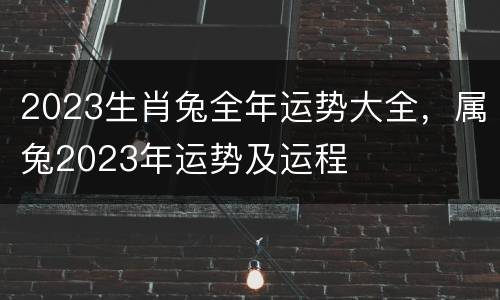 2023生肖兔全年运势大全，属兔2023年运势及运程