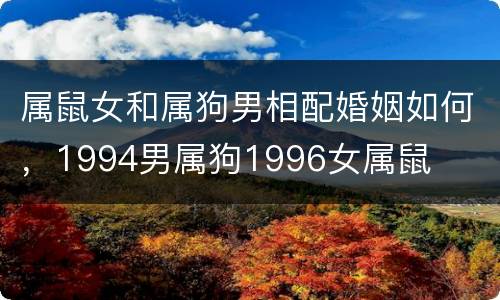 属鼠女和属狗男相配婚姻如何，1994男属狗1996女属鼠