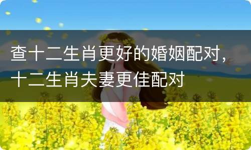 查十二生肖更好的婚姻配对，十二生肖夫妻更佳配对