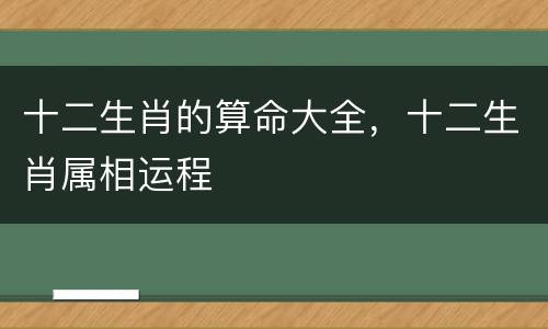十二生肖的算命大全，十二生肖属相运程