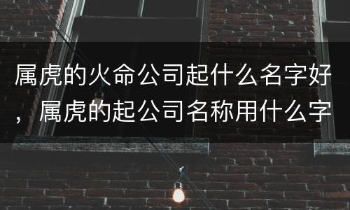 属虎的火命公司起什么名字好，属虎的起公司名称用什么字好