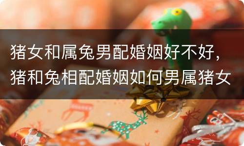 猪女和属兔男配婚姻好不好，猪和兔相配婚姻如何男属猪女属兔