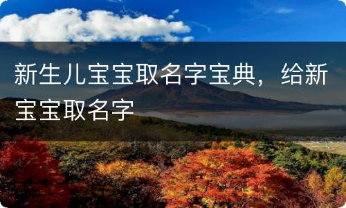 新生儿宝宝取名字宝典，给新宝宝取名字