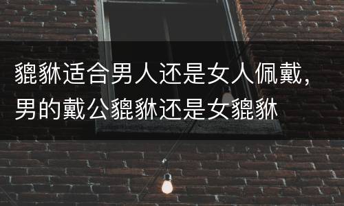 貔貅适合男人还是女人佩戴，男的戴公貔貅还是女貔貅