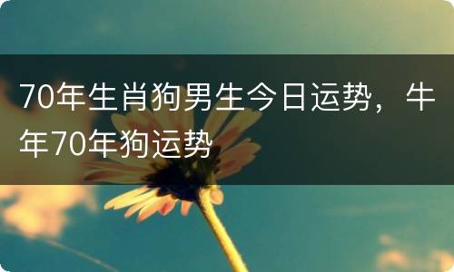 70年生肖狗男生今日运势，牛年70年狗运势