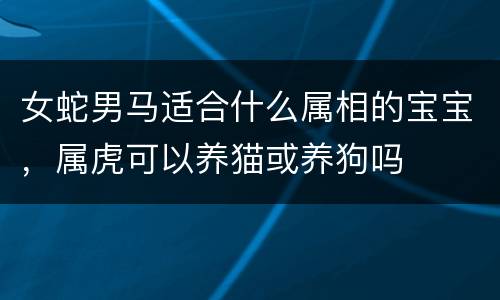 女蛇男马适合什么属相的宝宝，属虎可以养猫或养狗吗