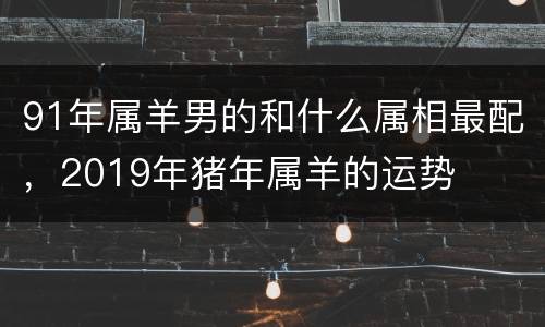 91年属羊男的和什么属相最配，2019年猪年属羊的运势
