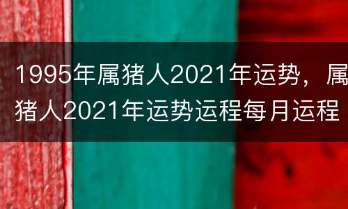 1995年属猪人2021年运势，属猪人2021年运势运程每月运程