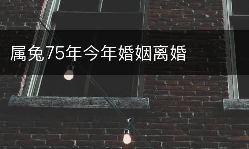 属兔75年今年婚姻离婚