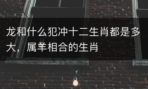 龙和什么犯冲十二生肖都是多大，属羊相合的生肖
