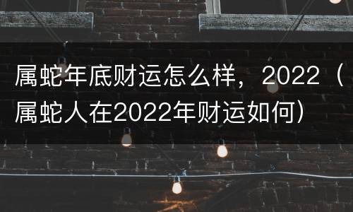 属蛇年底财运怎么样，2022（属蛇人在2022年财运如何）