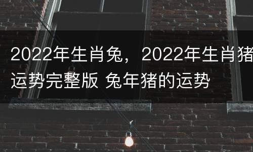 2022年生肖兔，2022年生肖猪运势完整版 兔年猪的运势