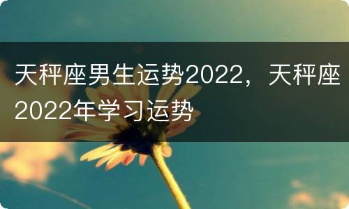 天秤座男生运势2022，天秤座2022年学习运势