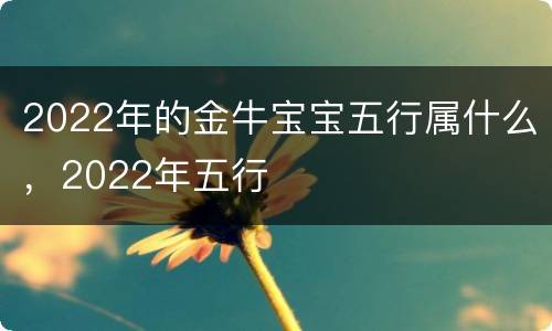 2022年的金牛宝宝五行属什么，2022年五行