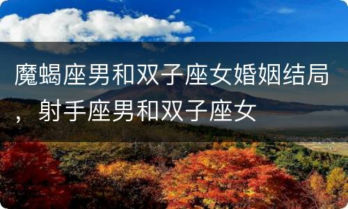 魔蝎座男和双子座女婚姻结局，射手座男和双子座女