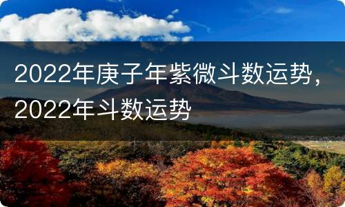 2022年庚子年紫微斗数运势，2022年斗数运势