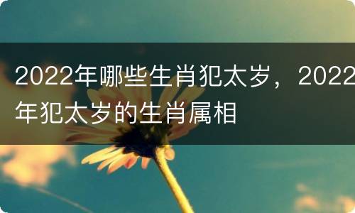 2022年哪些生肖犯太岁，2022年犯太岁的生肖属相